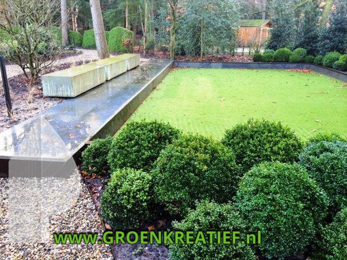 graniet-element-buxus-tuinaanleg-groenkreatief-nl-midden-nederland