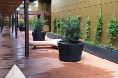 Lombok-Atrium-5