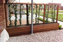 Gemeenschappelijke tuin