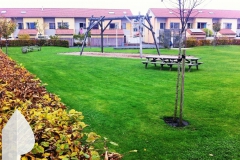 Gemeenschappelijke tuin