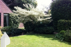 Tuin-met-vijver1.00